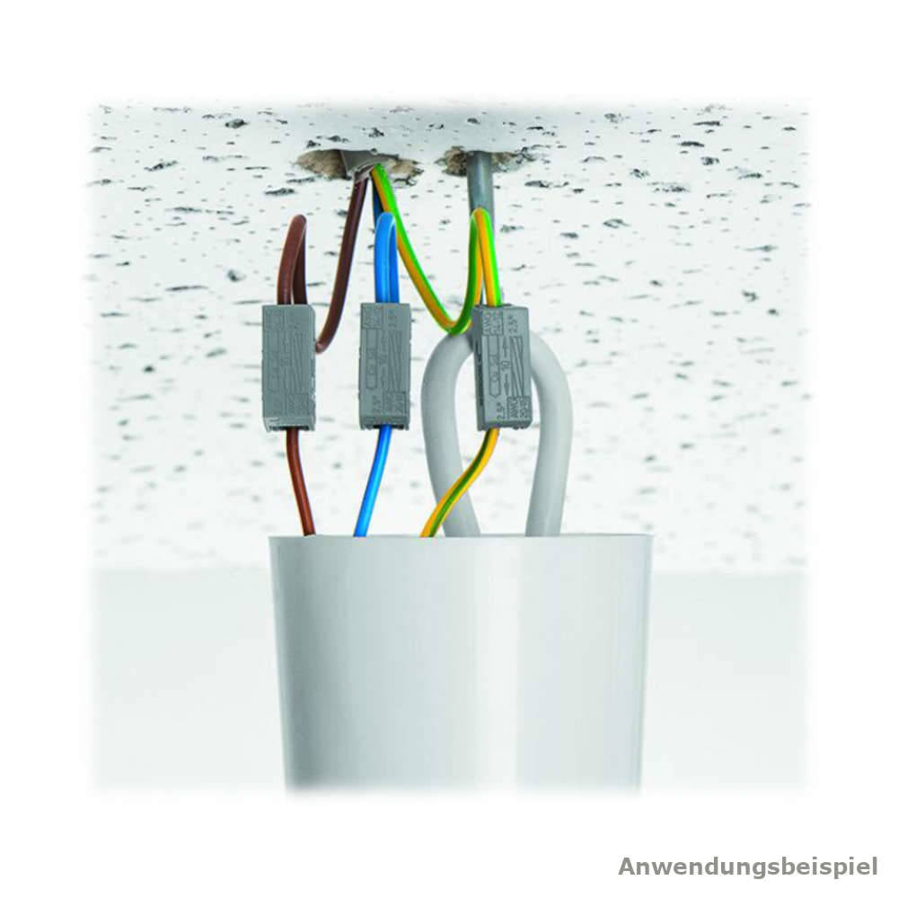 Wago 224-112 Leuchtenklemmen weiss