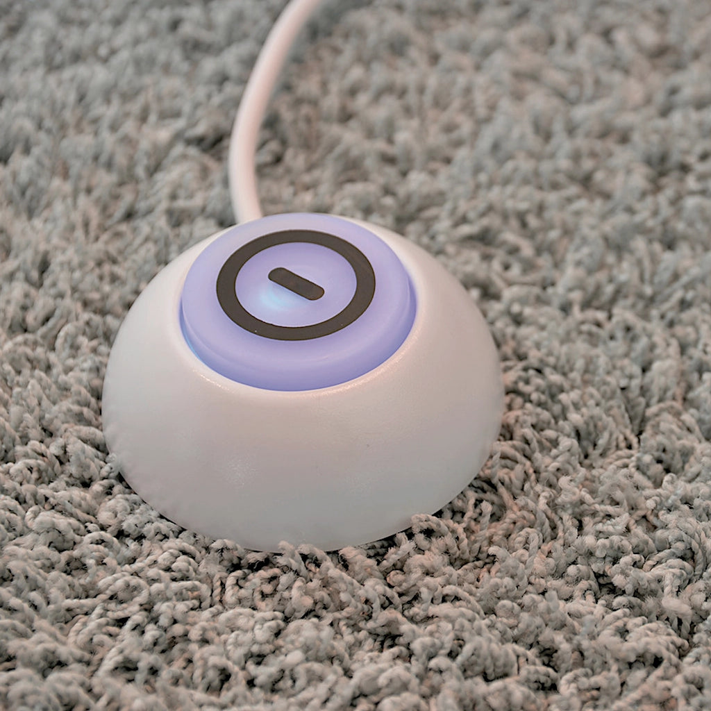 Der Fußschalter des Steckdosenadapters liegt auf einem hochflorigen Teppich